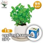  культивирование комплект eggling&SAUCER мята /1 шт продажа простой комплект культивирование комплект легкий садоводство 