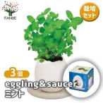  культивирование комплект eggling&SAUCER мята /. сделка 3 шт. комплект простой комплект культивирование комплект легкий садоводство 