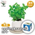  культивирование комплект eggling&SAUCER мята /. сделка 4 шт. комплект простой комплект культивирование комплект легкий садоводство 