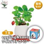  культивирование комплект eggling&SAUCER лесная земляника /1 шт продажа простой комплект культивирование комплект легкий садоводство 