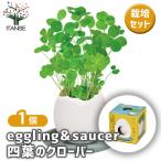  культивирование комплект eggling&SAUCER 4 . лист. clover /1 шт продажа простой комплект культивирование комплект легкий садоводство 