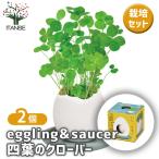  культивирование комплект eggling&SAUCER 4 . лист. clover /. сделка 2 шт. комплект простой комплект культивирование комплект легкий садоводство 