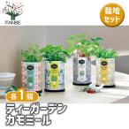  культивирование комплект Tiger ten4 вида комплект | каждый /. сделка 4 шт. комплект простой комплект культивирование комплект легкий садоводство 