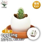  культивирование комплект eggling&CLEARkaktas1 шт | поддонник /1 шт продажа простой комплект культивирование комплект легкий садоводство 