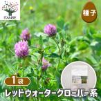  семена красный вода clover серия примерно /1 шт продажа вид seedtane растения. вид культивирование садоводство сад садоводство огород хранение сохранение 