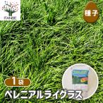  семена Pele niarulai стакан 1L/1 шт продажа вид seedtane растения. вид культивирование садоводство сад садоводство огород хранение сохранение 