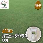 種子 バミューダグラス リオ 1L/1個売り 種 seed タネ 植物の種 …