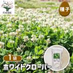 種子 ホワイトクローバー 1L/1個売り 種 seed タネ 植