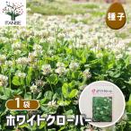 種子 ホワイトクローバー 40ml/1個売り 種 seed タネ 