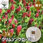 種子 クリムソンクローバー 1L/1個売り 種 seed タネ 
