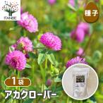 種子 アカクローバー 1L/1個売り 種 seed タネ 植物の