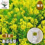  семена ....1L/1 шт продажа вид seedtane растения. вид культивирование садоводство сад садоводство огород хранение сохранение 