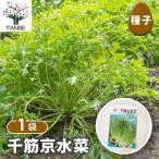  семена тысяч . столица мизуна 10ml/1 шт продажа вид seedtane растения. вид культивирование садоводство сад садоводство огород хранение сохранение 