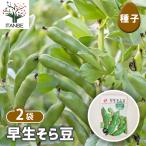  семена . сырой боб садовый 40ml/. сделка 2 шт. комплект вид seedtane растения. вид культивирование садоводство сад садоводство огород хранение сохранение 