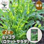  семена rukola( Rocket салат ) 3ml/. сделка 2 шт. комплект вид seedtane растения. вид культивирование садоводство сад садоводство огород хранение сохранение 