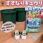 ITANSEお買い得！栽培セットす...