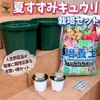 ITANSEお買い得！栽培セット夏...