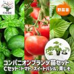 コンパニオンプランツCセット野菜の...
