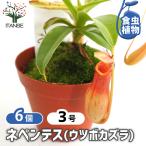 商品画像3