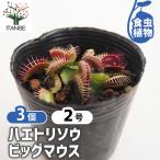 商品画像3
