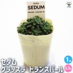 商品画像3