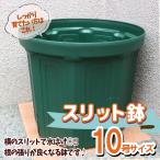 ITANSE 人気の植木鉢 スリット鉢 10号 1個 野菜 花 果樹 ハーブのプランターとして人気 送料無料 イタンセ公式