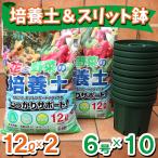 ITANSE 人気のスリット鉢と花と野菜の培養土のお買い得セット(スリット鉢6号10個&培養土12L2個) 野菜 花 果樹 ハーブ プランター 送料無料 イタンセ公式