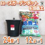 ITANSEローズガーデンポット2...