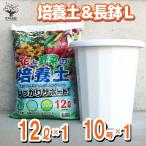 ITANSE園芸セット長鉢10号色...