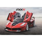 フェラーリ純正 FXX-Kテクニカルカード　21818
