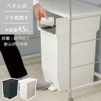 SOLOW ペダルオープンツイン45L RSD-78 ゴミ箱 ダストボックス 抗菌・防汚加工 フタ付き キッチン