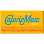 ショッピングカロリーメイト 大塚製薬 CalorieMate カロリーメイト バニラ味 2本入×20箱