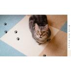 送料無料　東リ ウィズペットフロア 【スノー】  40cm角 　お買い得１０枚セット！滑らない、洗えるカーペット　犬用品　滑り止め・消臭マット  国産　すべらな