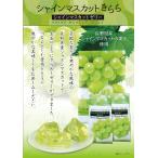 信州きらめき彩果 シャインマスカットきらら12個入大(信州長野県のお土産 お菓子 お取り寄せ スイーツ ギフト)