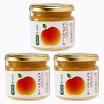  Shinshu тысяч искривление ... яблоко только Apple соус ×3 бутылка ( включая доставку )(.. соус яблоко соус фрукты соус )