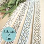 2.5cm ширина украшен блестками вышивка chu-ru гонки ячеистая сеть лента лента лезвие плечо ремешок рабочий день отправка в тот же день 