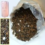 お子様に人気のお茶屋さんの麦茶2kg:国産大麦100%