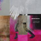 Dream Walks (Michael Attias &amp; Simon Nabatov)