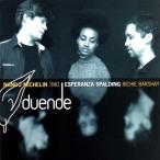 Duende (Nando Michelin Group feat. Esperanza Spalding)
