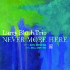 Never More Here (Larry Bluth Trio)