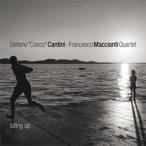 Falling up (Stefano 'Cocco' Cantini-Francesco Maccianti Quartet)