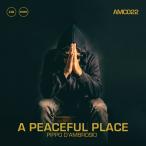 A Peaceful Place (Pippo D'Ambrosio)
