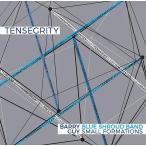 Tensegrity (4CD Box Set) (Barry Guy Blue Shroud Band)