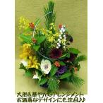 星蘭　せいらん〜　年越し特集【送料無料】