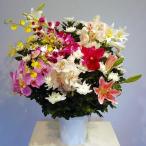 . цветок подставка мир цветок \37,500