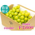 【特別価格】シャインマスカット2房【家庭用】