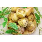 [ нет удобрение * природа культивирование ] новый шар лук порей 1kg[ Hyogo префектура : цветок холм сельское хозяйство ..][v1000]