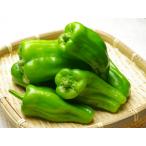 [ нет удобрение * природа культивирование ] зеленый перец [ Tokushima префектура :. волна tsukyomi ферма ][v400]*8/29( золотой ) отправка минут 