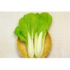 [ нет удобрение * природа культивирование ]...[ Gifu префектура :.... san ][v400]*11/4( огонь ) отправка минут 