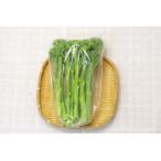 [ нет удобрение * природа культивирование ] стебель брокколи [ Kyoto (столичный округ) : запад . сельское хозяйство .][v400]